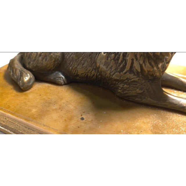 Metal Vintage Sculpture ~ Bronze Wolf Lying on Top of a Book For Sale - Image 7 of 12