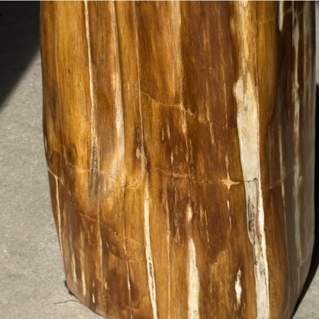 1980s Oval Side Table in Petrified Wood, 1980s For Sale - Image 5 of 18