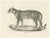 Leopard in Standing Pose, 1836, Lithograph For Sale - Image 10 of 10