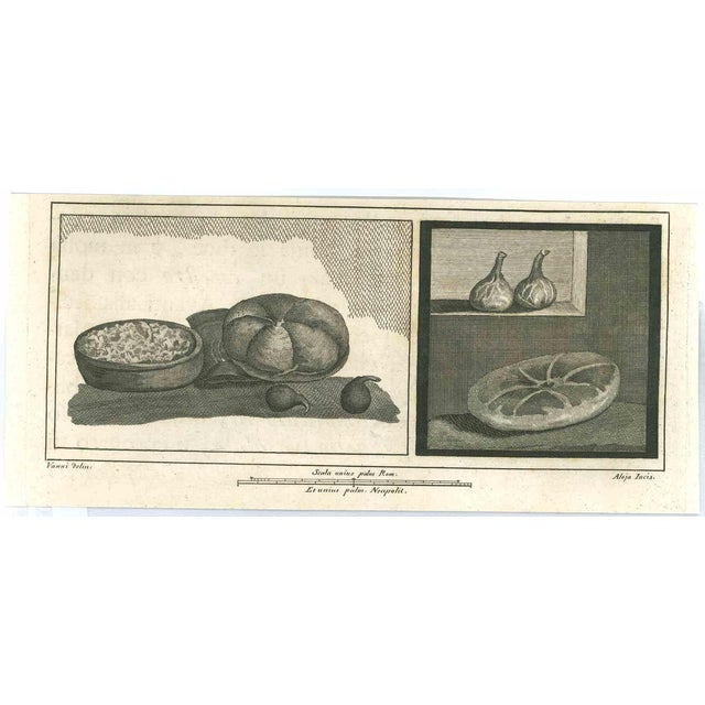 Vincenzo Aloja, Ancient Roman Fresco, Original Etching, 18th Century For Sale