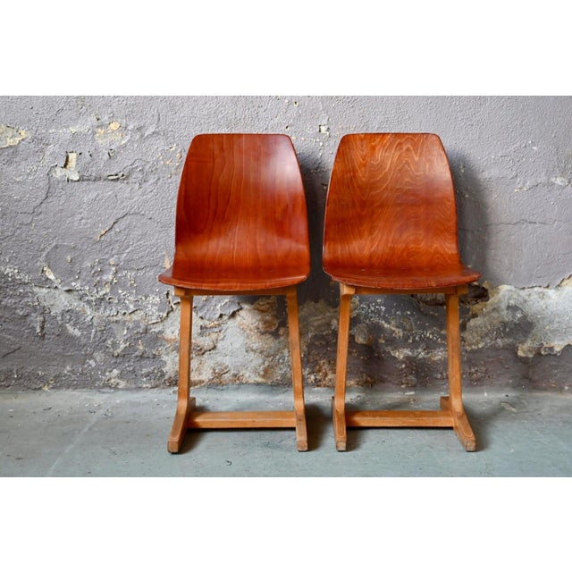 Mid-Century Modern Children's Chair in Molded Plywood and Beech, 1950s For Sale - Image 3 of 10