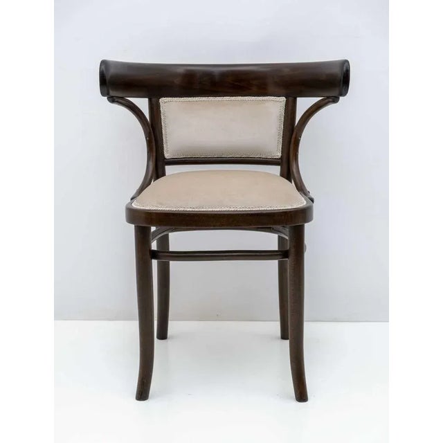 Austrian armchair Thonet, 1900/1920, in curved beech wood, the upholstery was redone in ivory velvet and the wooden parts...