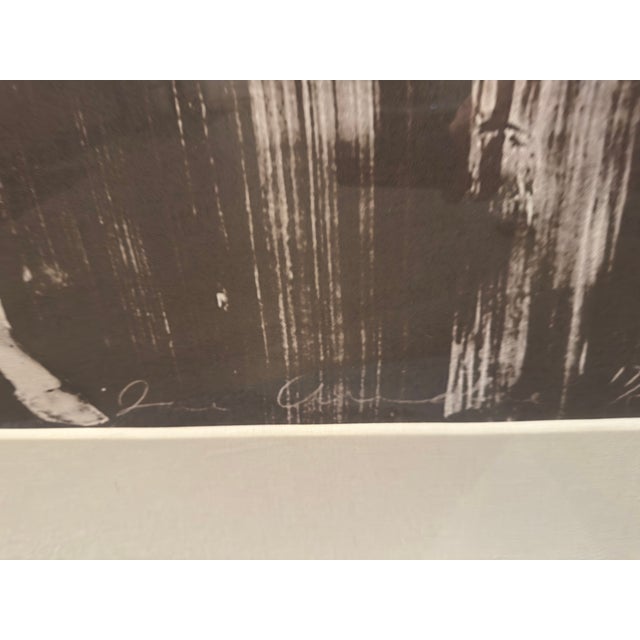 Joe Andoe, Horse I, 1994 — Plate-Signed Lithograph, Edition 17/50, Large Scale For Sale - Image 10 of 15