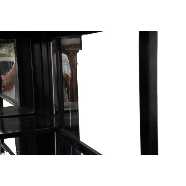 Mid 19th Century Antique Biedermeier 19th C Black Lacquer Display Cabinet For Sale - Image 5 of 7