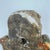 Vintage Hand Painted Plaster Winged Putti With Glass Eyes For Sale - Image 10 of 11
