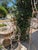 1900 - 1909 1900-1909 Garden Towers, 2 Pieces For Sale - Image 5 of 5
