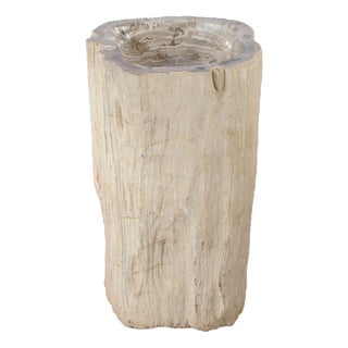 Freestanding Petrified Wood Water Basin by Xyleia Petrified Wood For Sale
