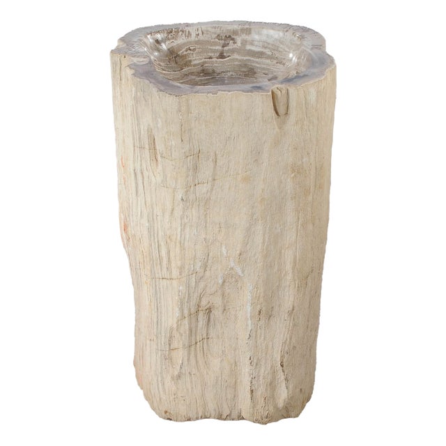 Freestanding Petrified Wood Water Basin by Xyleia Petrified Wood For Sale