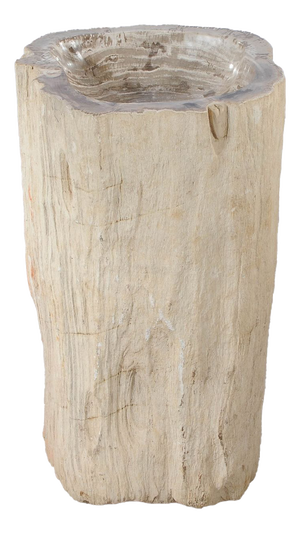 Freestanding Petrified Wood Water Basin by Xyleia Petrified Wood