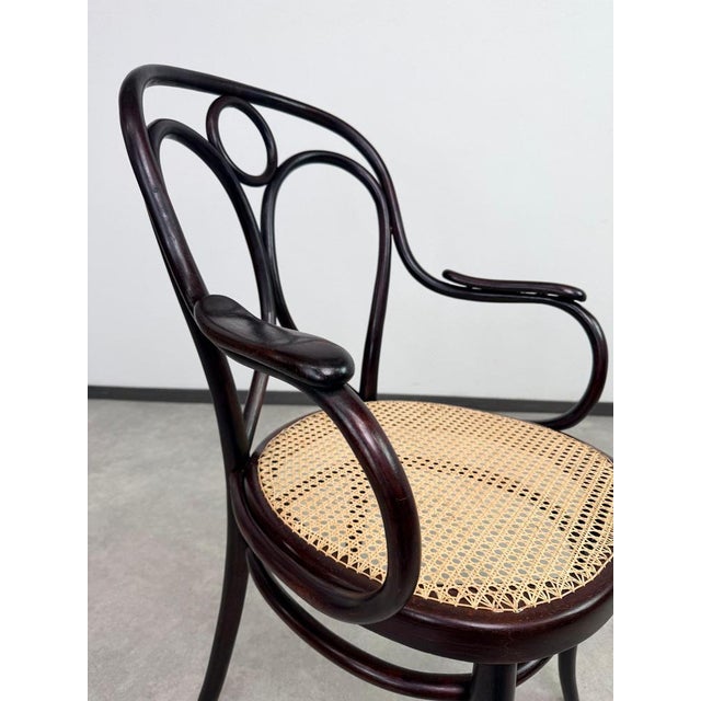 Wood Nr.19 Angel Back Armchair in Bentwood attributed to Thonet, 1890s For Sale - Image 7 of 14