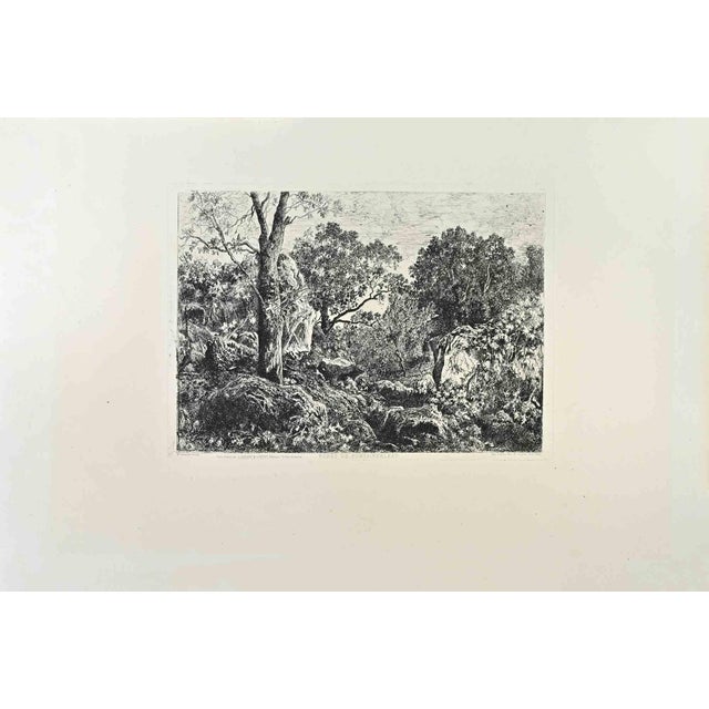 Francisque de Saint-Etienne, Foret de Fontainebleau, Etching, 1870s For Sale