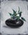 Justyna Kuklo, Black Vase II, 2019, Oil on Canvas For Sale - Image 6 of 6