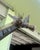 Late 20th Century Lifesize Welded Metal Giraffe . Great Garden Decor For Sale - Image 5 of 12