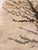 Jungla Series Hand-Knotted Rug by Giuseppe Ajmone for Pugi-Italia, 1960s For Sale - Image 9 of 15
