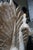 1980s Vintage Hand-Carved Whitewashed Peacock Sculpture on Textured Black Base For Sale - Image 5 of 5