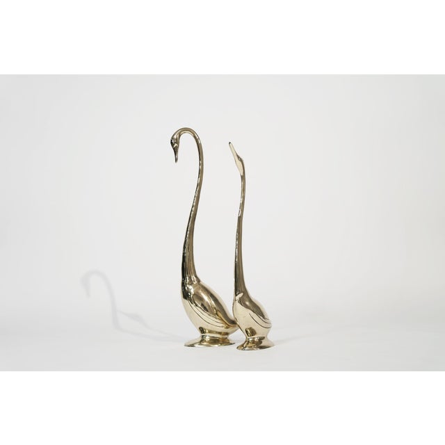 Mid-Century Modern Set of Large-Scale Vintage Brass Swan Sculptures, C. 1950s For Sale - Image 3 of 10