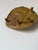 Vintage Organic Handmade Abstract Studio Pottery Wall Sculpture, Unsigned For Sale - Image 9 of 12
