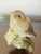 Shabby Chic Vintage 20th Century Capodimonte Porcelain Bird as Lamp Finial For Sale - Image 3 of 4