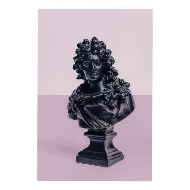 Guy Sargent, Louis XIV Pink, Archival Pigment Print For Sale