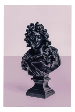 Guy Sargent, Louis XIV Pink, Archival Pigment Print