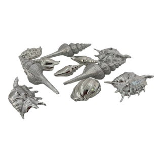 Collection of Silvered Seashells For Sale