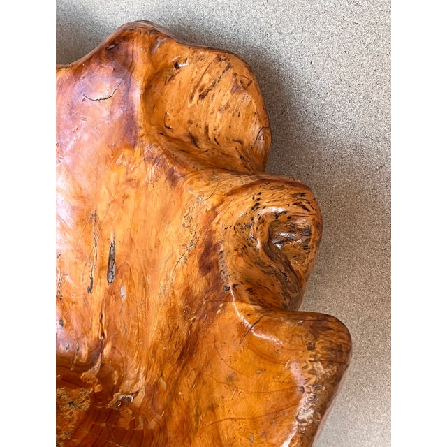 Brown 1950 Solid Wood Swivel Armchair or Side Chair, Four Different Available For Sale - Image 8 of 10