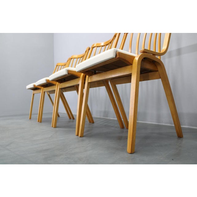 Tan Mid-Century Dining Chairs from Jitona, 1960s, Set of 4 For Sale - Image 8 of 18