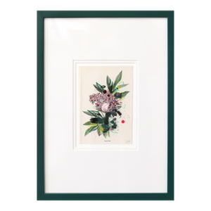 Danewort - Framed Dark Green Tone Floral Artwork on Antique Botanical Book Page Artwork by Lee Herring