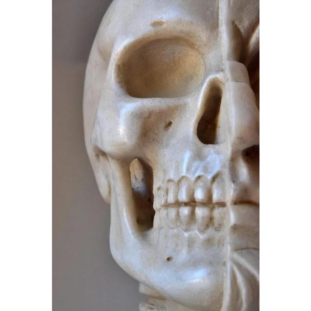 Anatomical Sculpture, Early 20th Century, Marble For Sale - Image 3 of 11