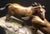 Bronze Don Hunt "Running Horses" Original Bronze Sculpture Beautiful Art Rare! Obo For Sale - Image 8 of 9
