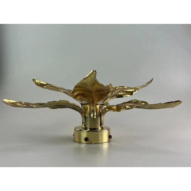 Gold Mid-Century Brass Wall Lamp y Willy Daro for Massive, 1970s For Sale - Image 8 of 13