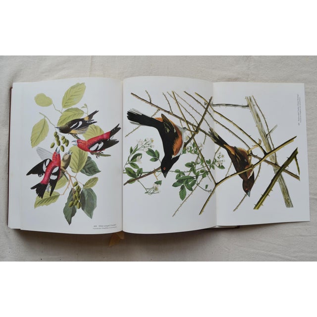 1981 Signed Audubon's Birds of America: The Audubon Society Baby Elephant For Sale - Image 9 of 18