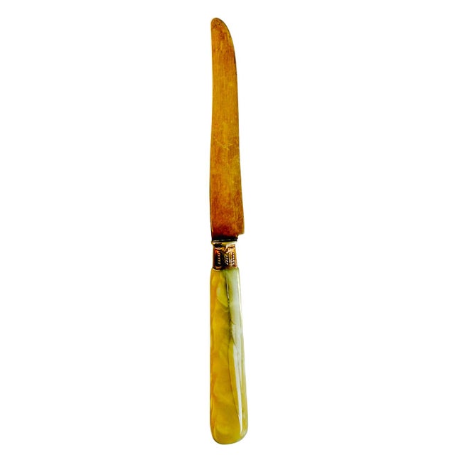 Metal Antique 19th Century French Vermeil Fruit Service Set With Faux Amber Handles - 24-PCS Set For Sale - Image 7 of 11