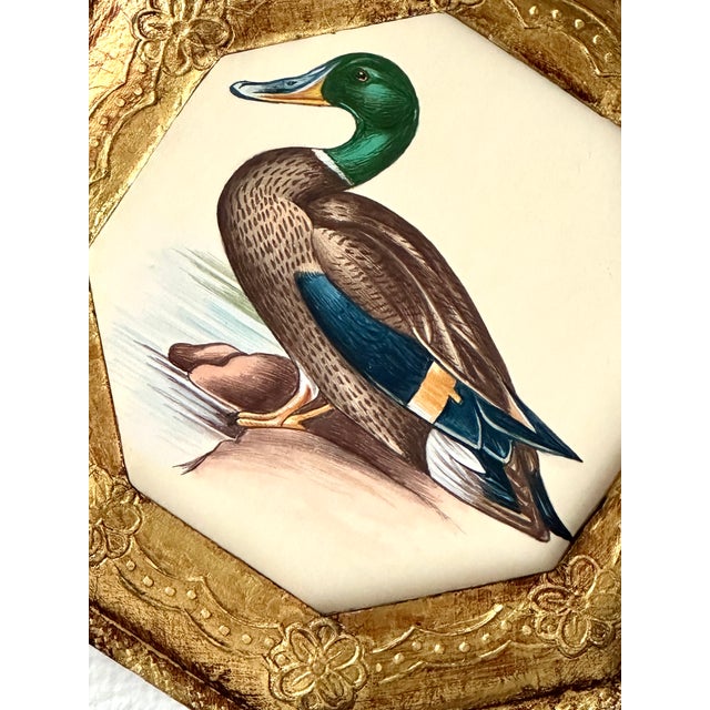 Original Hand-Painted Mallard Miniature Painting in an Italian Vintage Frame For Sale - Image 4 of 4