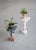 The lily flower Pot by Flétta Dimensions: 54.5 x 40 cm Materials: white marble, gold Trophy is a collection of tables,...