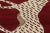 1950s Vintage Gabbeh Rug With Leopard Pictorial by Rug & Kilim, Afghanistan, 1950-1959 For Sale - Image 5 of 9