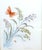 Original Mary Bertrand Botanical Watercolor Painting, Signed and Numbered, Custom Framed For Sale - Image 10 of 12