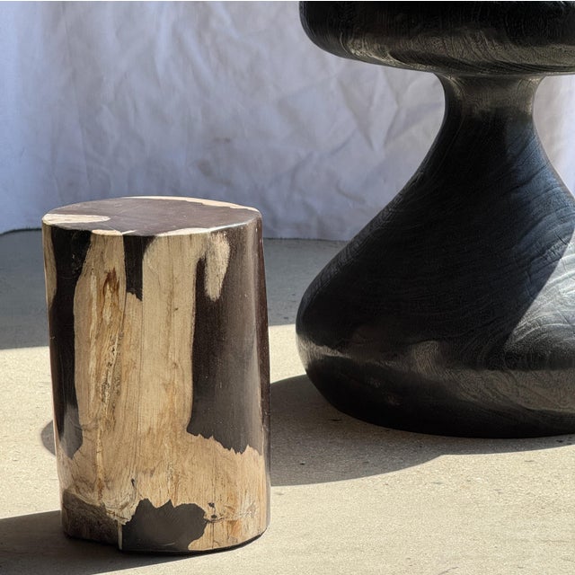 Small Side Table in Black and White Petrified Wood, 1980s For Sale - Image 17 of 18