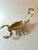 Mid 20th Century Mexican Brass Abalone and Chrome Scorpion in the Style of Los Castillo For Sale - Image 5 of 7