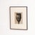 Karl Blossfeldt, Natural Grace, 1942, Photogravure, Framed For Sale - Image 8 of 13