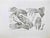 Etching realized by Paolo Mascagni and Antonio Serantoni in the first years of 19th Century, and published in 1810. Plate...