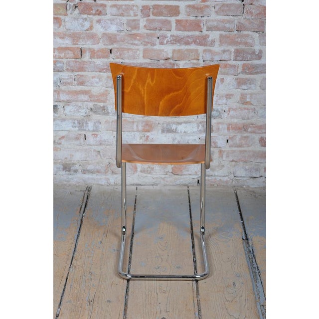 Bauhaus Chair in Beech and Chromed Steel, Czech, 1930s For Sale - Image 4 of 10