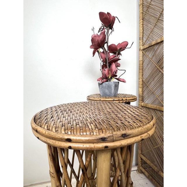 Mid-Century French Rattan and Bamboo Plant Stands, Set of 2 For Sale - Image 6 of 18
