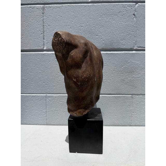 1991 Classical Male Torso Sculpture by Sergey Eylanbekov for Alva Studios For Sale - Image 4 of 8