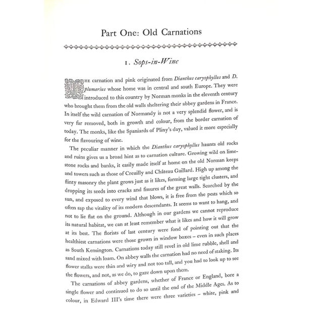 "Old Carnations & Pinks" 1955 Moreton, C. Oscar For Sale - Image 4 of 11