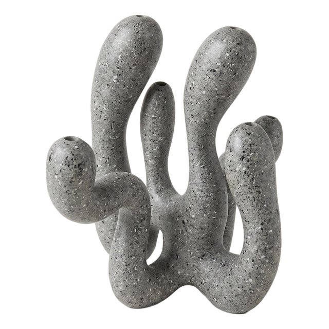 Hold the Light - Stone Grey Edition For Sale