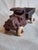 Rare 1920s Champion Cast Iron Mack C-Cab Dump Truck Original Paint & White Tires For Sale - Image 13 of 18