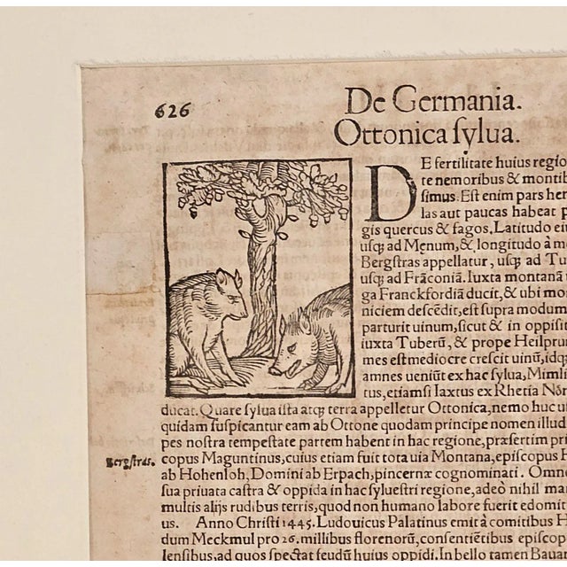 Renaissance Illustrated Page From a Treatise, Germany Circa 1700 For Sale - Image 3 of 4