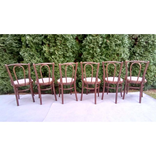 Wood Chairs in Beech Bentwood from Tatra, 1960s, Set of 6 For Sale - Image 7 of 15