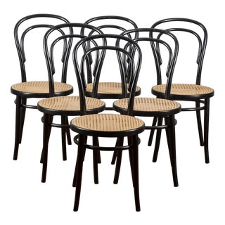 Chairs in the style of Thonet, Set of 6 For Sale